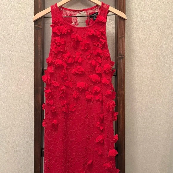 Red Floral Appliqué Lace Midi Dress – NWT – Size 8 - Picture 2 of 15